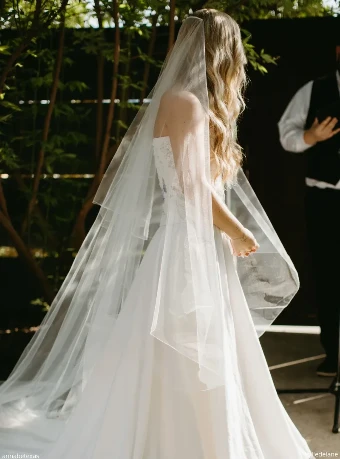 Sara Gabriel Erica Veil #0 thumbnail