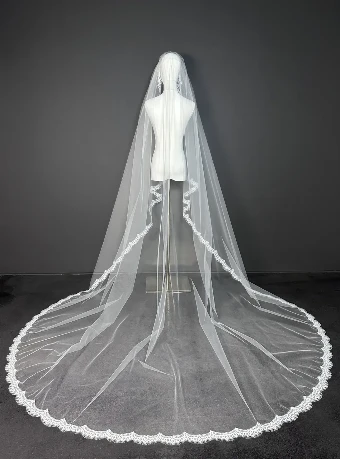Sara Gabriel Ryan Veil #4 thumbnail