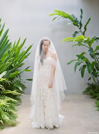 Sara Gabriel Stephanie veil #3 thumbnail