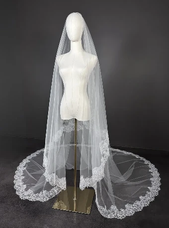 Sara Gabriel Winifred Veil #1 thumbnail