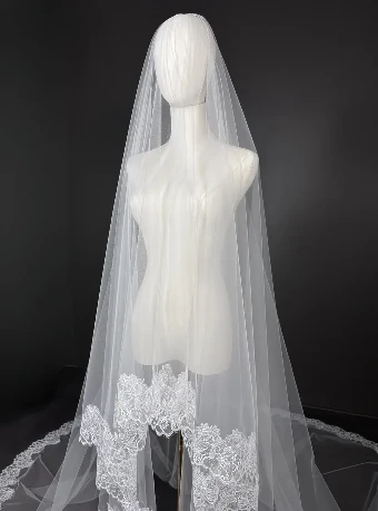 Sara Gabriel Winifred Veil #3 thumbnail