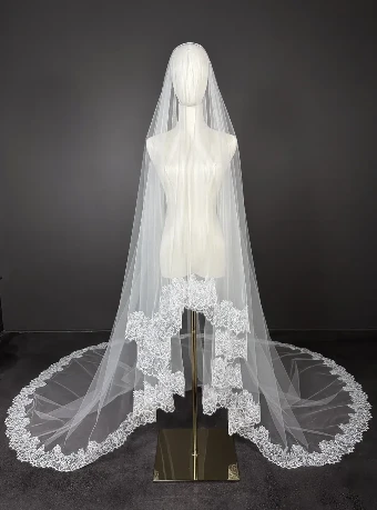 Sara Gabriel Winifred Veil #0 thumbnail