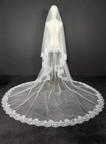 Sara Gabriel Winifred Veil #4 thumbnail
