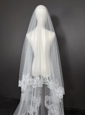 Sara Gabriel Winifred Veil #2 thumbnail
